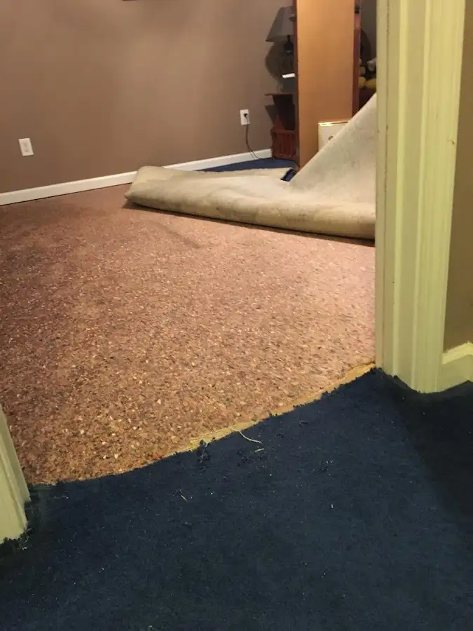 Carpet pad removal revealing water damage during Drying & Dehumidification in Excelsior Springs