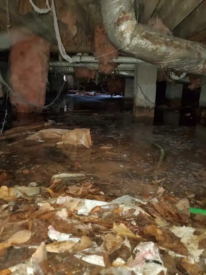 Crawl space flood assessment for Leak Detection & Repair in Excelsior Springs