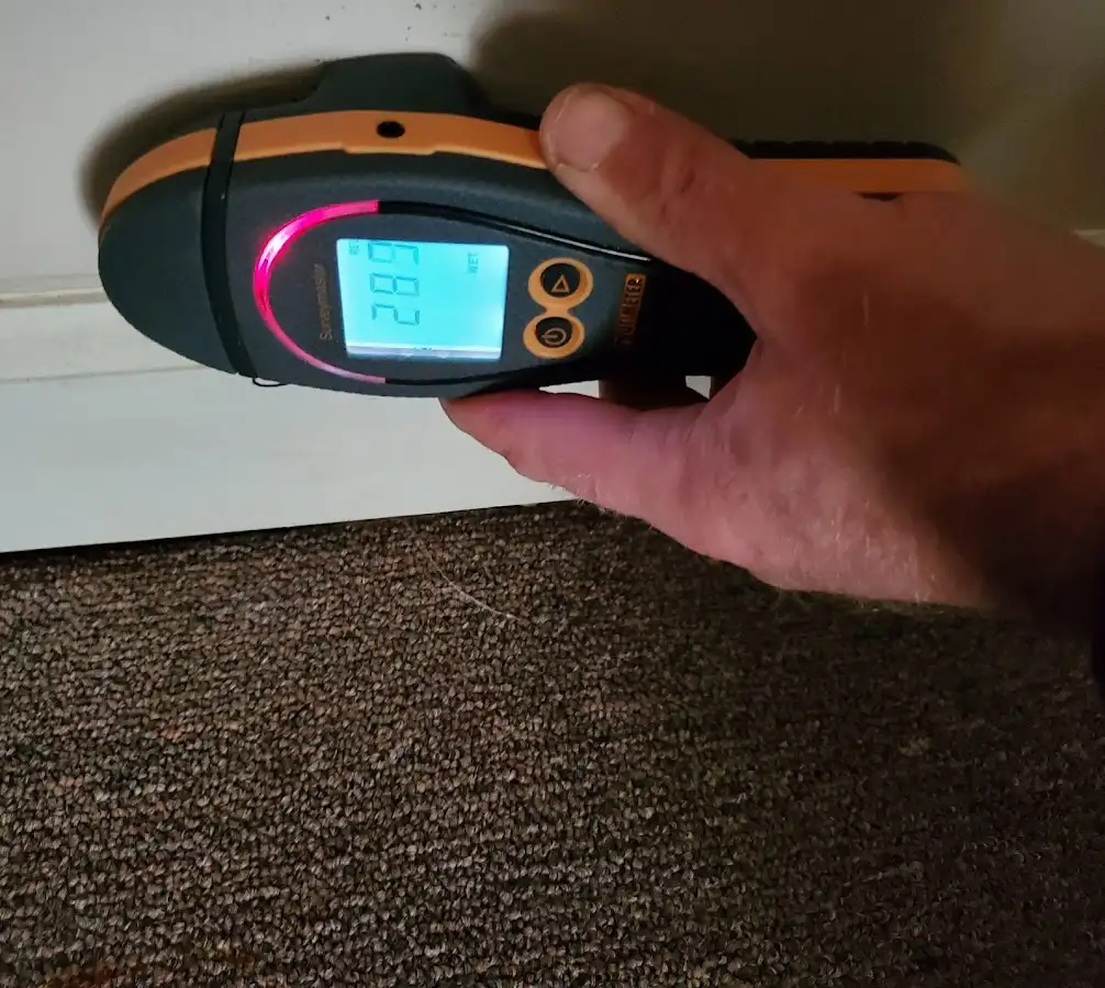 Moisture detection at baseboard during Sewage Cleanup & Sanitation in Excelsior Springs